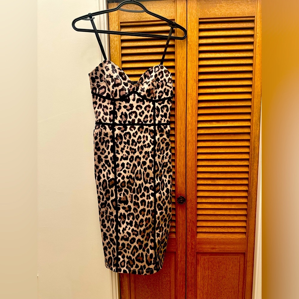 H&M Size 6 Leopard Dress